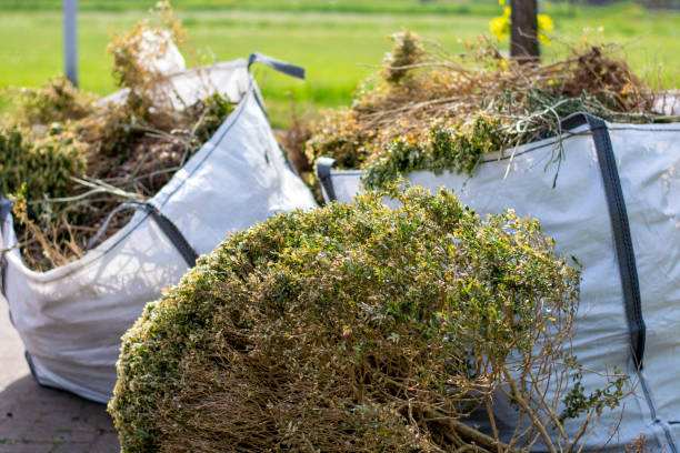 Best Yard Waste Removal  in Tavares, FL