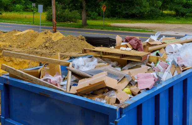 Best Trash Removal Near Me  in Tavares, FL